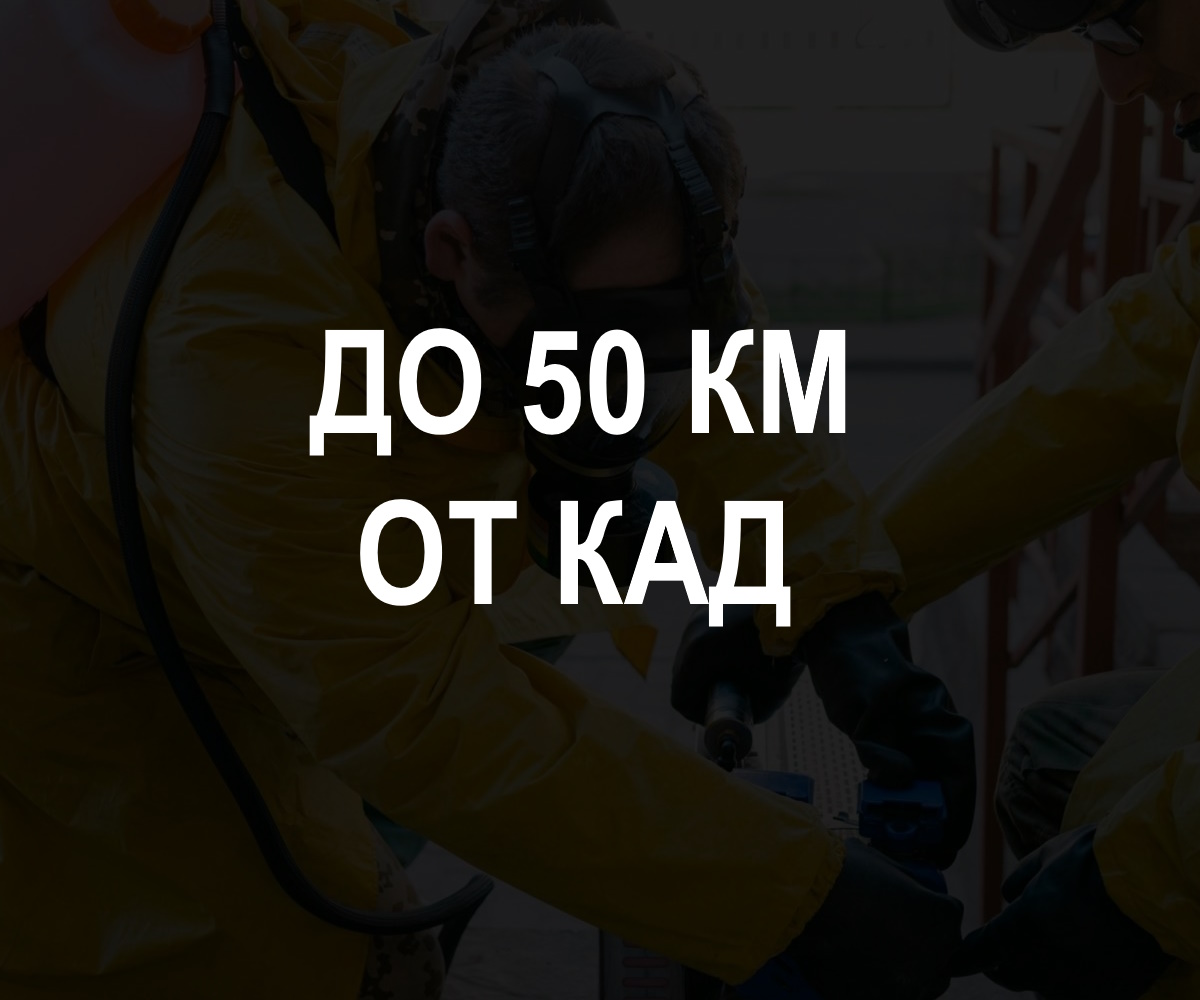 До 50 км. от КАД 